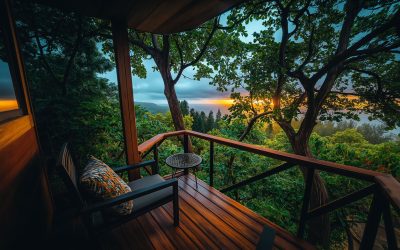 Sounds of a Rainstorm from a Treehouse Overlooking a Forest