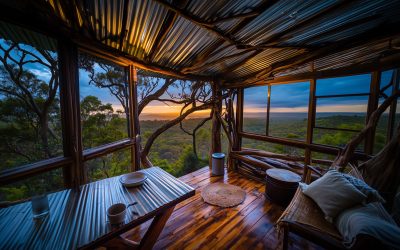 Sounds of Rain on a Tin Roof from a Treehouse